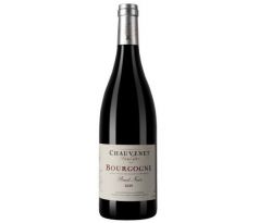 Domaine Marlyse Chauvenet Bourgogne Pinot Noir 2020 12,5% 0,75l (čistá fľaša)