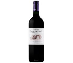 Château Puygueraud 2019 14,5% 0,75l (čistá fľaša)