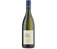 Polz Sauvignon Blanc Südsteiermark 2022 12% 0,75l (čistá fľaša)
